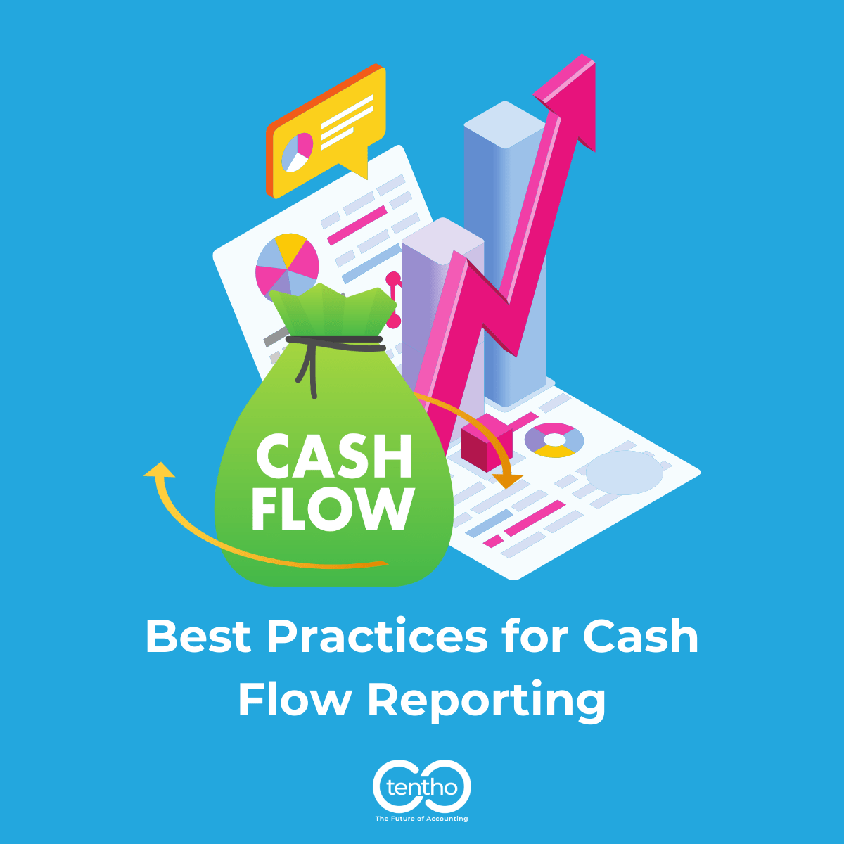 Best Practices For Cash Flow Reporting Tentho
